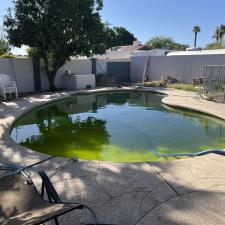 Green-pool-clean-up-in-Tempe-Arizona 2